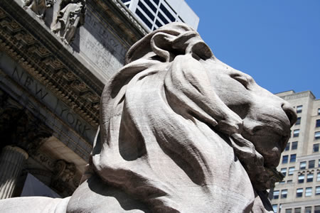 Lion Statue New York Library